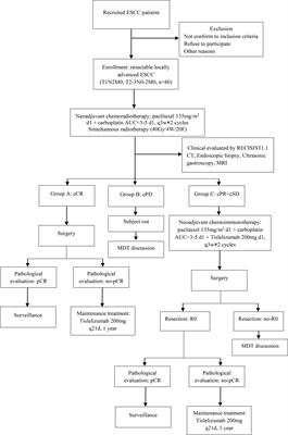 Tislelizumab Plus Chemotherapy Sequential Neoadjuvant Therapy for Non-cCR Patients After Neoadjuvant Chemoradiotherapy in Locally Advanced Esophageal Squamous Cell Carcinoma (ETNT): An Exploratory Study